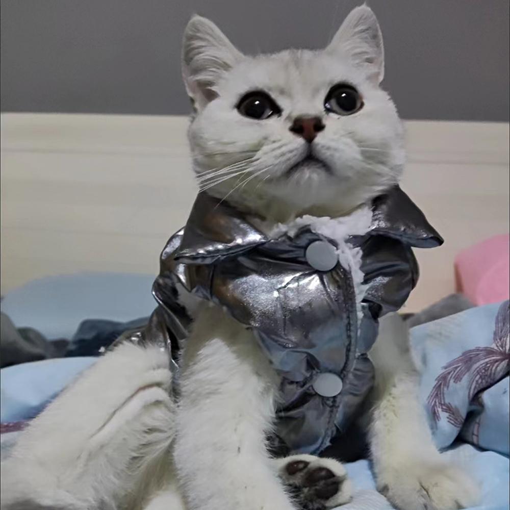 Одежда для собак в холодную погоду Зимняя одежда для собак Ветрозащитный комбинезон для маленьких собак Пуховик для щенков Куртка Водонепроницаемая утепленная парка Комбинезон для собак Одежда для домашних животных