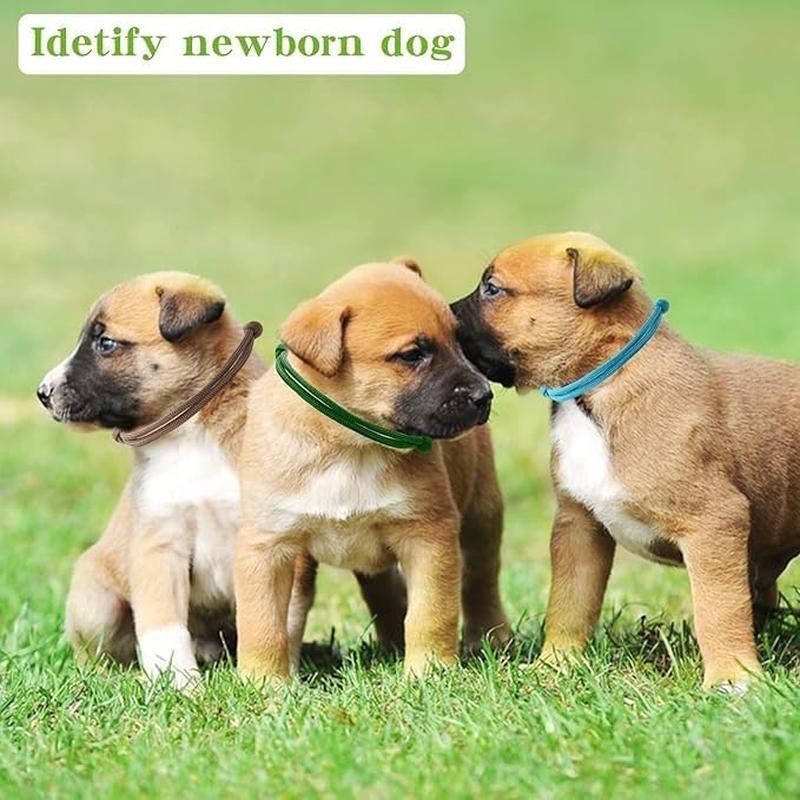 12 шт. ошейники для щенков, ошейники для щенков разных цветов, регулируемые базовые...