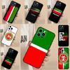 Чехол для телефона Флаг Герб Татарстана Для iPhone 17 Air 13 16 15 11 12 14 Pro Max 13 12 mini 15 16 Plus 16e Чехол Funda