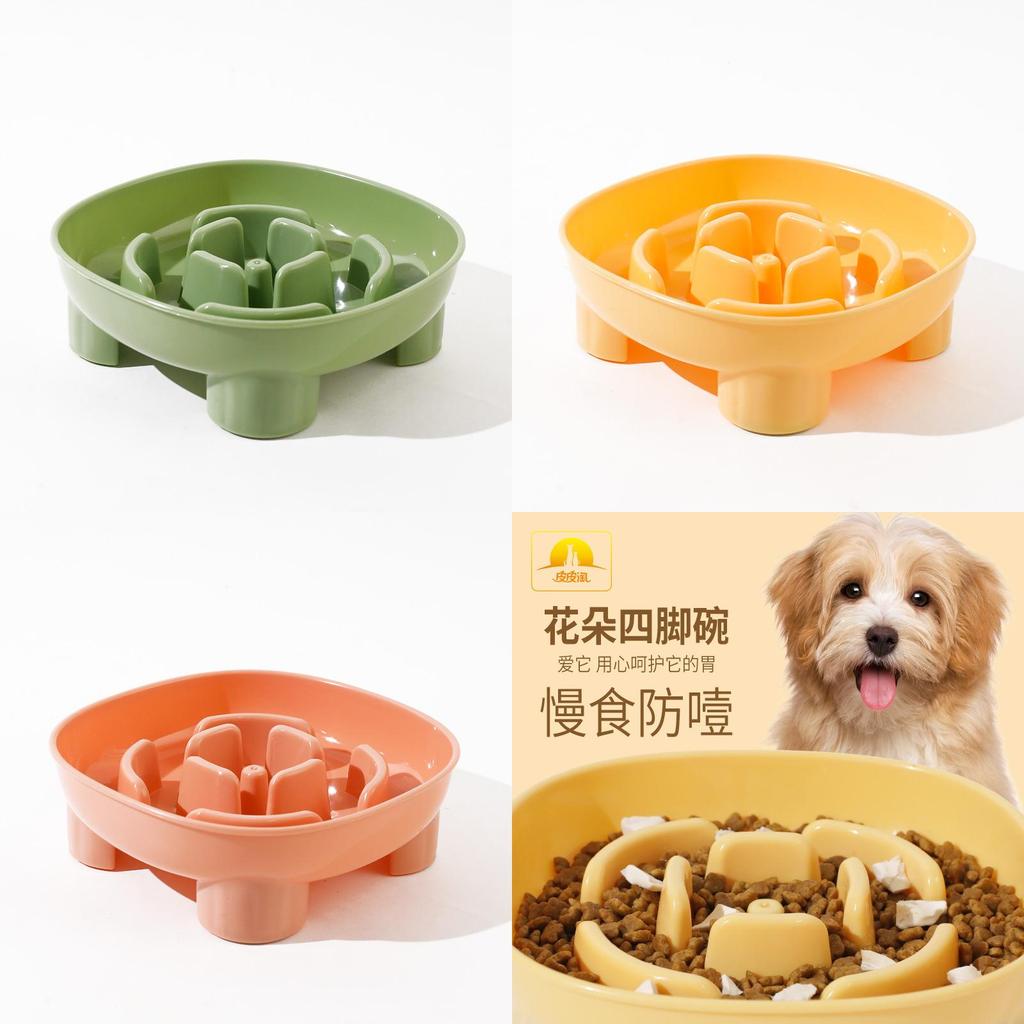 Pet Food Dish With Auto Feeding For Cats And Dogs In Green Yellow Pink Colors