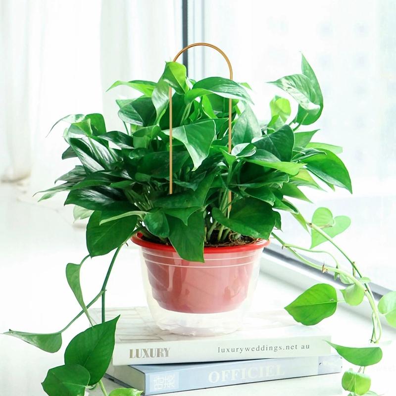 Садовое растение опора для лазания каркас креативная подпорка для растений металлическая фиксирующая штанга для растений шпалера для лазания лиан кронштейн для горшечных цветов