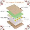 Leaf Pressing Kit Diy Press Flower Machine Tool Nature Wooden Dried Book Drying Preservation Diy Flower Preservation Crafts