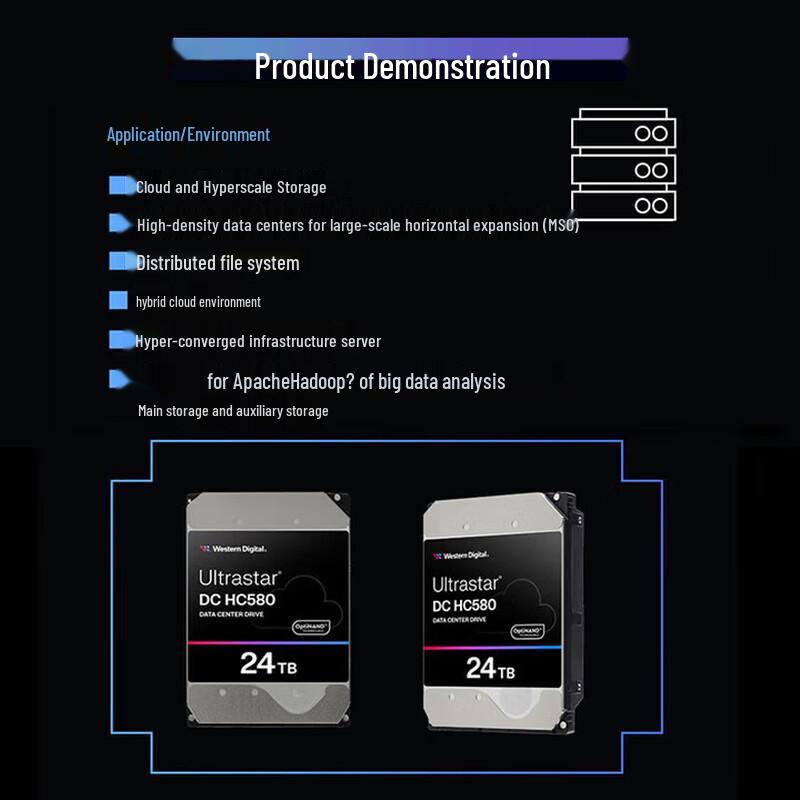 WD 24TB Enterprise SAS Hard Drive