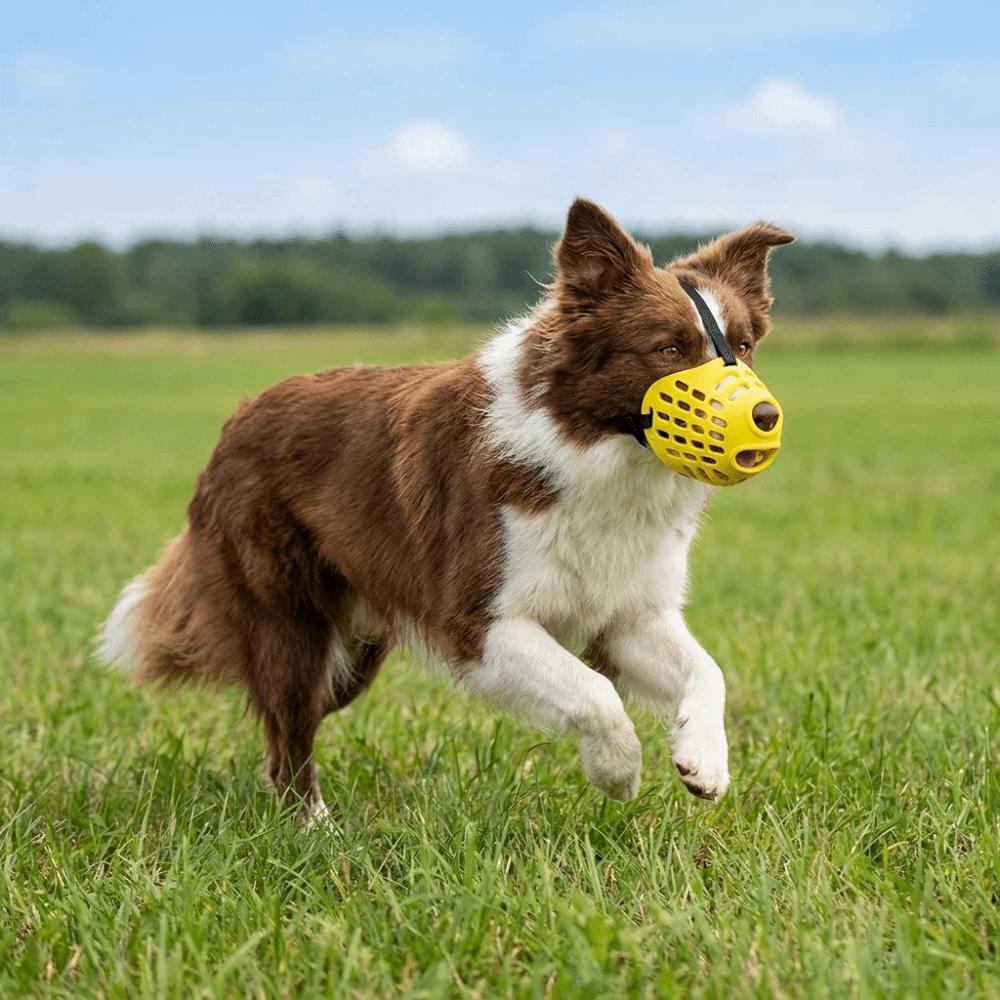 Breathable Pet Muzzle Adjustable Dog Mouth Guard Practical Dog Stop Barking Mask Vet Visit