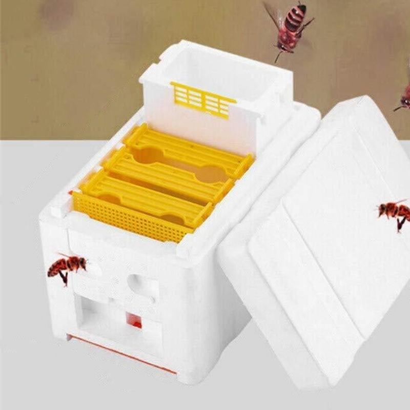 Пенопластовый ящик для спаривания маток, разведение, выращивание, аксессуары для копуляции, пчеловодческое оборудование для управления разведением пчел