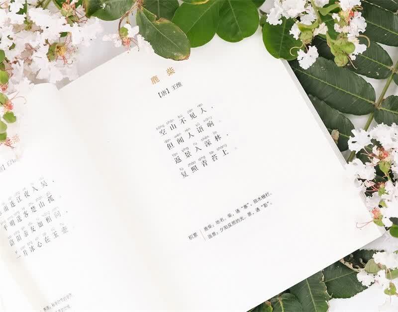 Набор из 4 книг: Хрюшка Хи-ли Ху-лю и Маленькие стихи (Фонетическое издание)