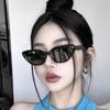 Cat Eye Sunglasses Versatile Fashion Sunglasses Street Photo Personalized Sunglasses