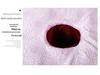 Waterproof Oilproof Beauty Bed Sheet for Massage with Hole