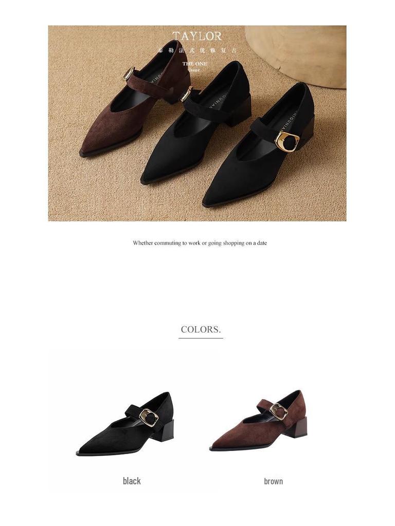 Французские ретро туфли Мэри Джейн на высоком каблуке - Изысканный стиль Весна/Осень 2025 для женщин с острым носком, идеально подходят к юбкам.