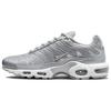Кроссовки Air Max Plus Metallic Silver Unisex Grey-Fog FJ1012-095