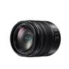 Panasonic Lumix 14-140mm f/3.5-5.6 II ASPH Power O.I.S. Lens