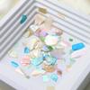 Натуральные Дружелюбные Ракушки для Маникюра 6 Цветовых Вариантов Водонепроницаемые Блестящая Текстура Долговечные Аксессуары для Маникюра Для Женщин Девушек