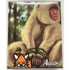 Animal Card Game 2nd Deck "Kurama Deck