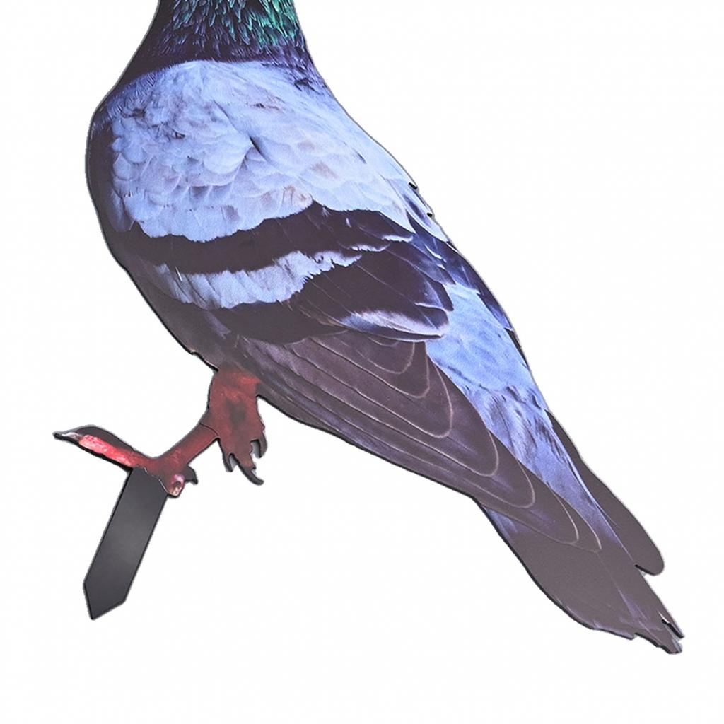 Garden Pigeon Outdoor Space Package Content Specifications