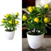 Artificial Fruits Lemon Simulated Bonsai Home Decoration Potted Plant Living Room Ornament Fake Tree