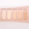AMUSE Dew Jelly Master Cushion с запасным наполнителем (4 цвета) SPF 38 PA+++ 15 г*2 шт.