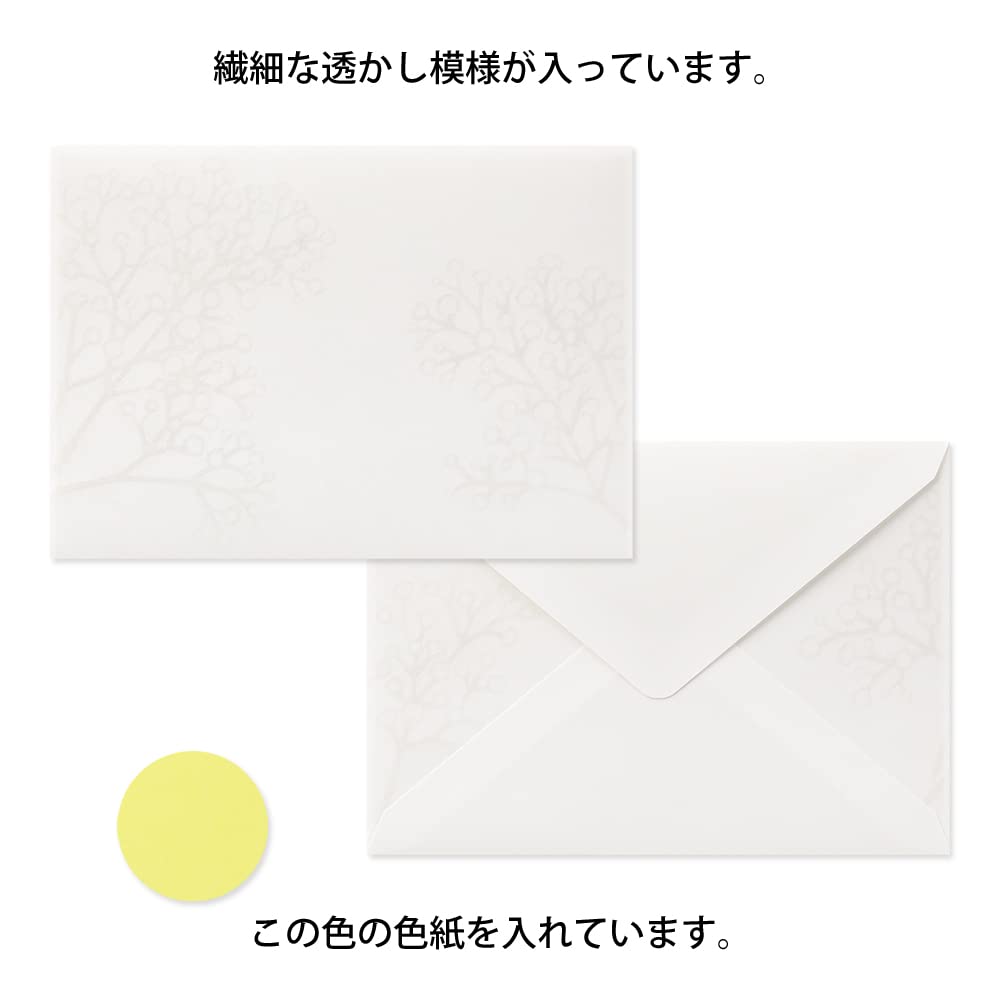 Midori Envelope Watermark Western 2 6 Pieces of Japanese Paper 6 Pieces of Colored Paper Kasumi Grass Pattern 20580006