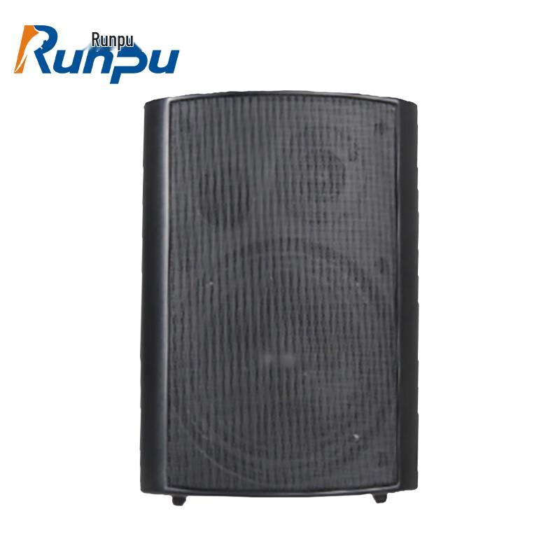 Runpu Professional Conference & Auditorium Audio Systems CN plug (adapter included)