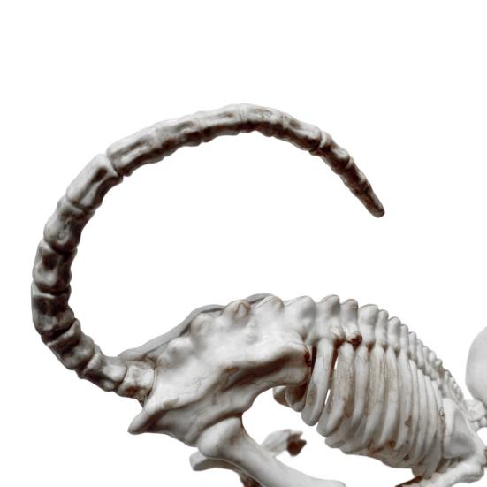 Украшения на Хэллоуин Реалистично выглядящие Декоративные Улучшение Атмосферы Пластиковый Ужас Кошка Скелет Хэллоуин