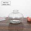 Small French Retro Glass Hydroponic Vase for Home Decor