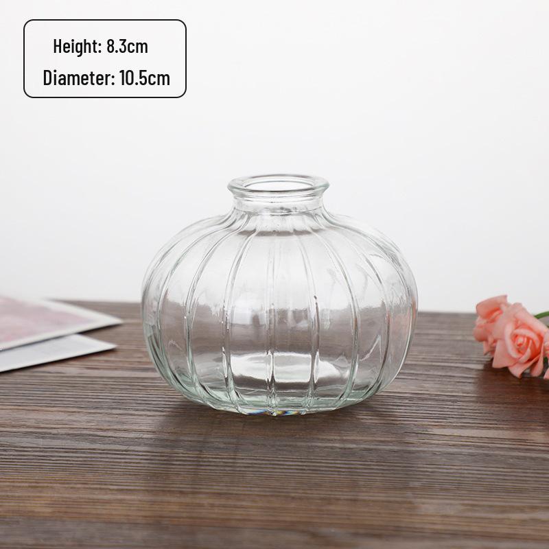Small French Retro Glass Hydroponic Vase for Home Decor