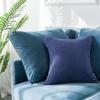 Nordic Simple Office Cushion Square Velvet Pillow Cover Without Insert Waist Pillow Living Room Cushions Pillow Sofa