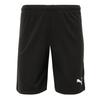 Puma Команда Rise Short Asia Sp