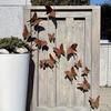 15 шт. Металлический Декор Бабочки на Стену, 3D Рустикальное Железное Садовое Искусство для Забора на Улице, Патио, Погодостойкий, Нержавеющий Набор Украшений