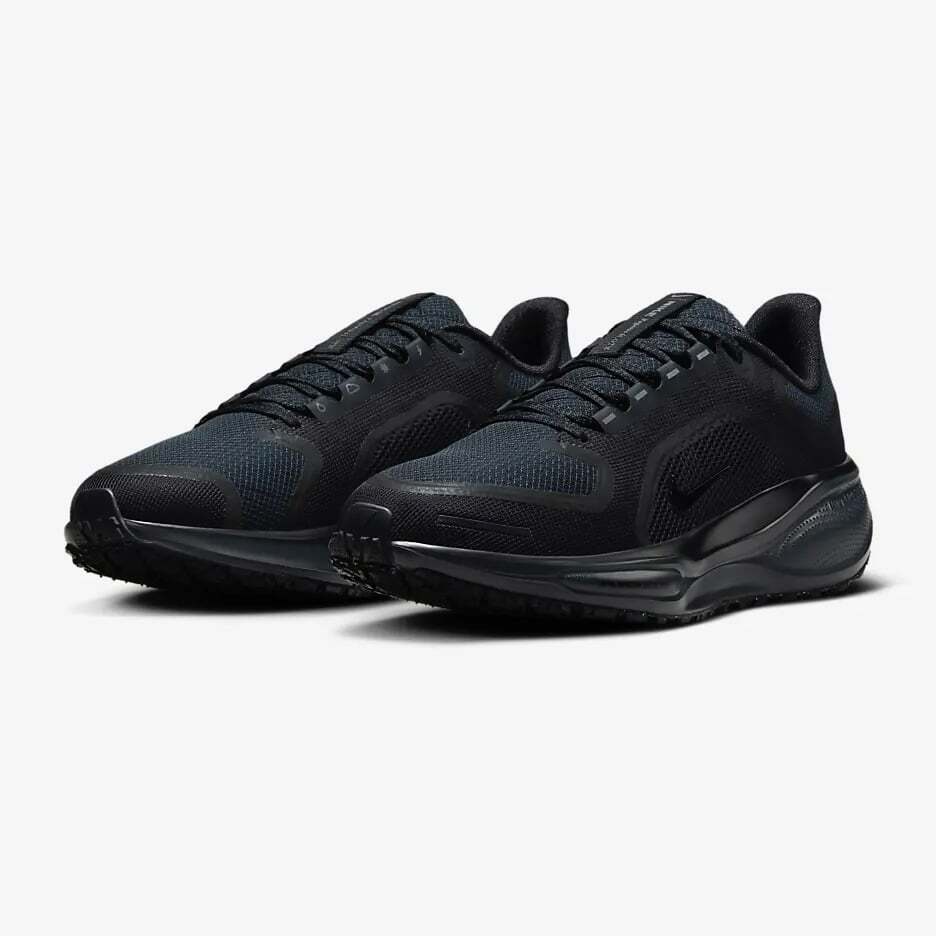 FQ1357-001 Nike Pegasus 41 GORE-TEX Черный Антрацит (Женский)