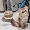 Pet Cat Winter Warm Fleece Vest Jacket Small Medium Large Kittens Soft Plush Inner Lining Ins Style