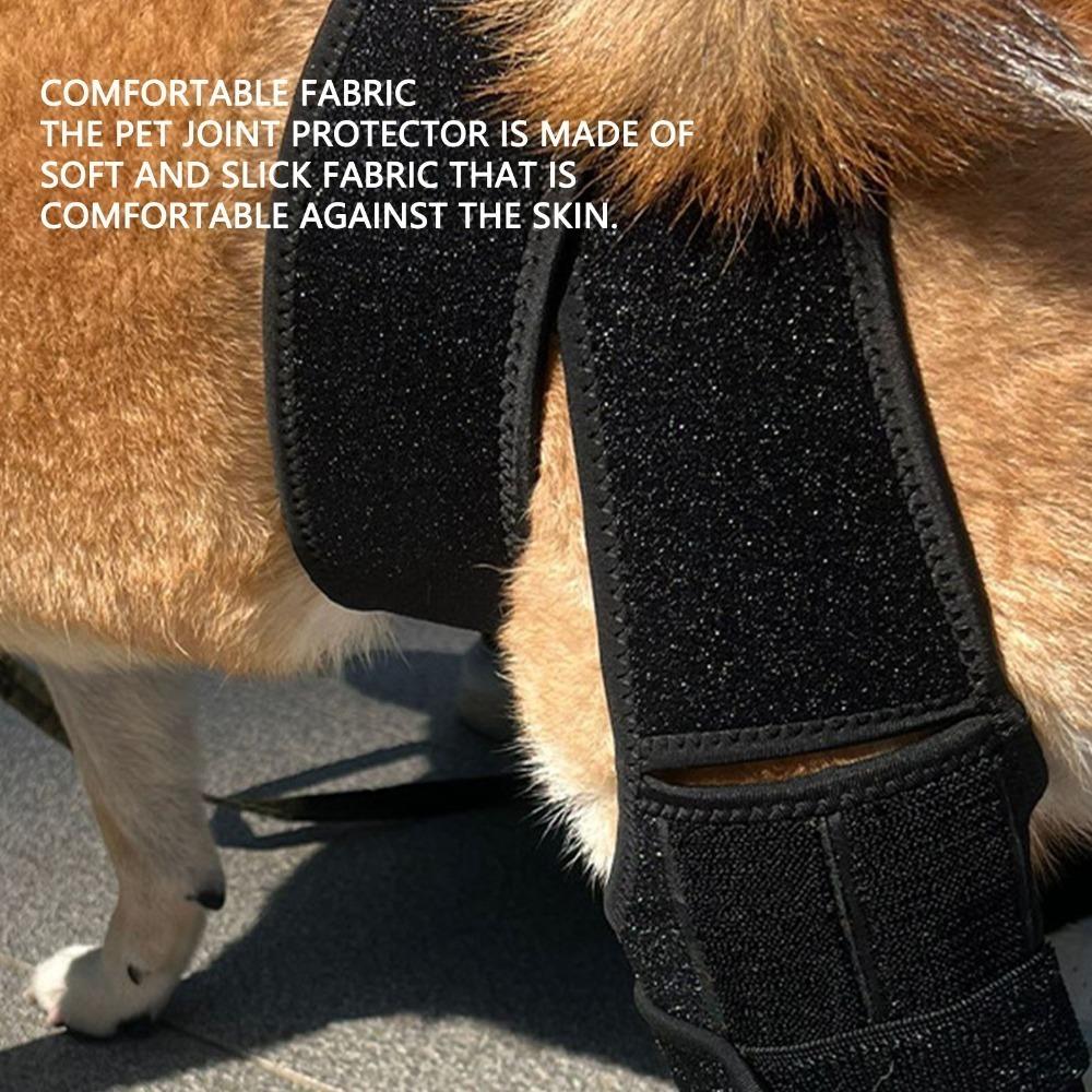 Adjustable Pet Leg Support Breathable Leg Fixation Strap Pet Recovery Bandage Leg Injury Care