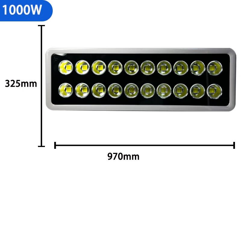 Outdoor Waterproof 1000W LED Floodlight