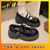 2025 Summer New Shallow French Retro Thick Heel Platform Small Leather Shoes Single Shoes Fashion Round Head Mary Jane Single Shoes Women