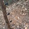 Самонарезающий изолятор для электроизгороди для импульсных изгородей в животноводстве