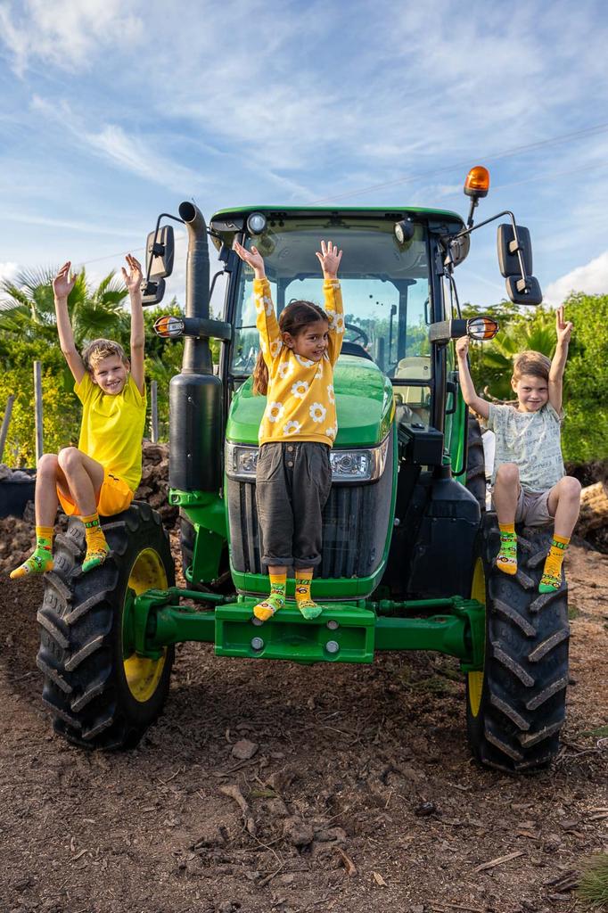 Тракторы - носки для детей 31-35 лет