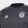 Adidas Sweatshirts Men's Gray Crew Neck Moderate Regular FR3989