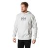 Helly Hansen Graphic худи
