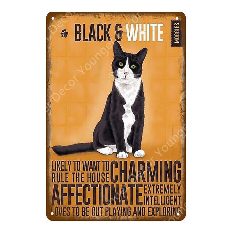 Предупреждение: Остерегайтесь черной кошки, знаки домашних животных, металлический плакат с изображением животных, винтажная тарелка для настенного искусства, ретро, ​​декор для дома, комнаты, 30X20 см, YJ139