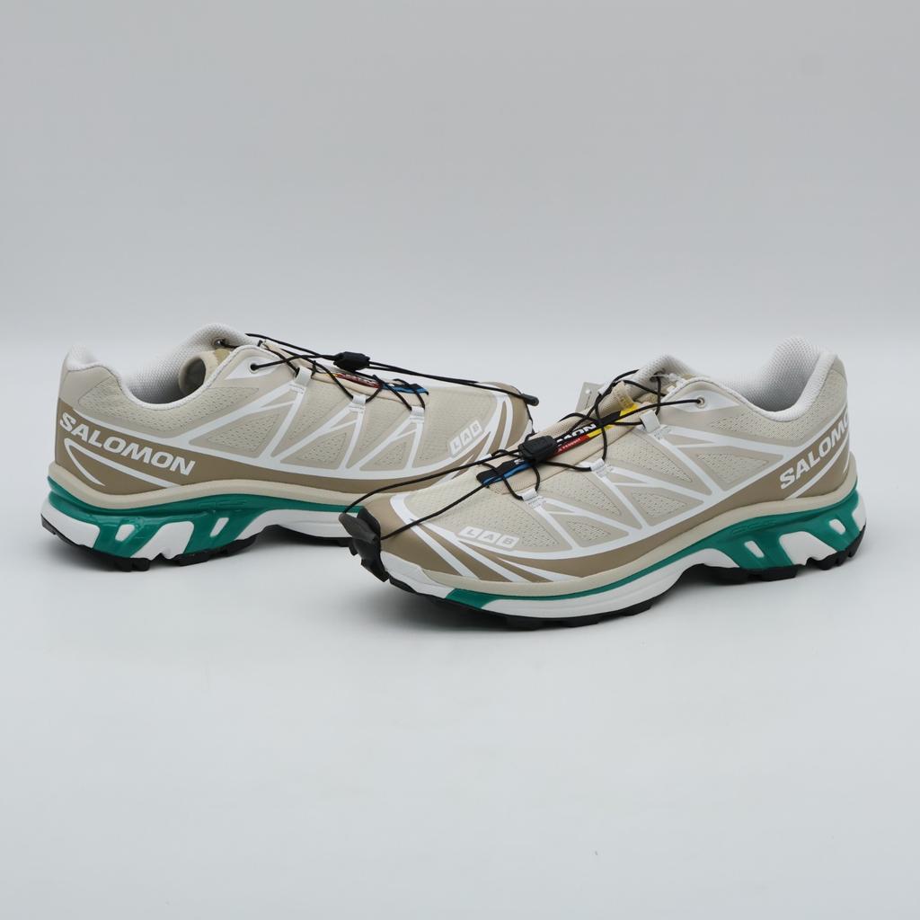 L47864300 Salomon XT-6 Rainy Day Chinchilla Dynasty Green (Мужской)