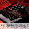 KORG KORG Wavetable Synthesizer Modwave MK II Max Stereo 60 Voices