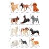 Solid Dog Figurine Simulation Miniature Animal Model Children Educational Toys   Collection