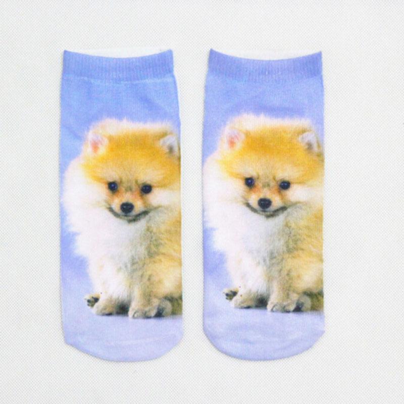 Новый 3D-принт с изображением животных, тигра, панды, кошки, собаки, льва, конфет, мяса, искусства, красочные женские забавные носки, новинка, подарок, дропшиппинг