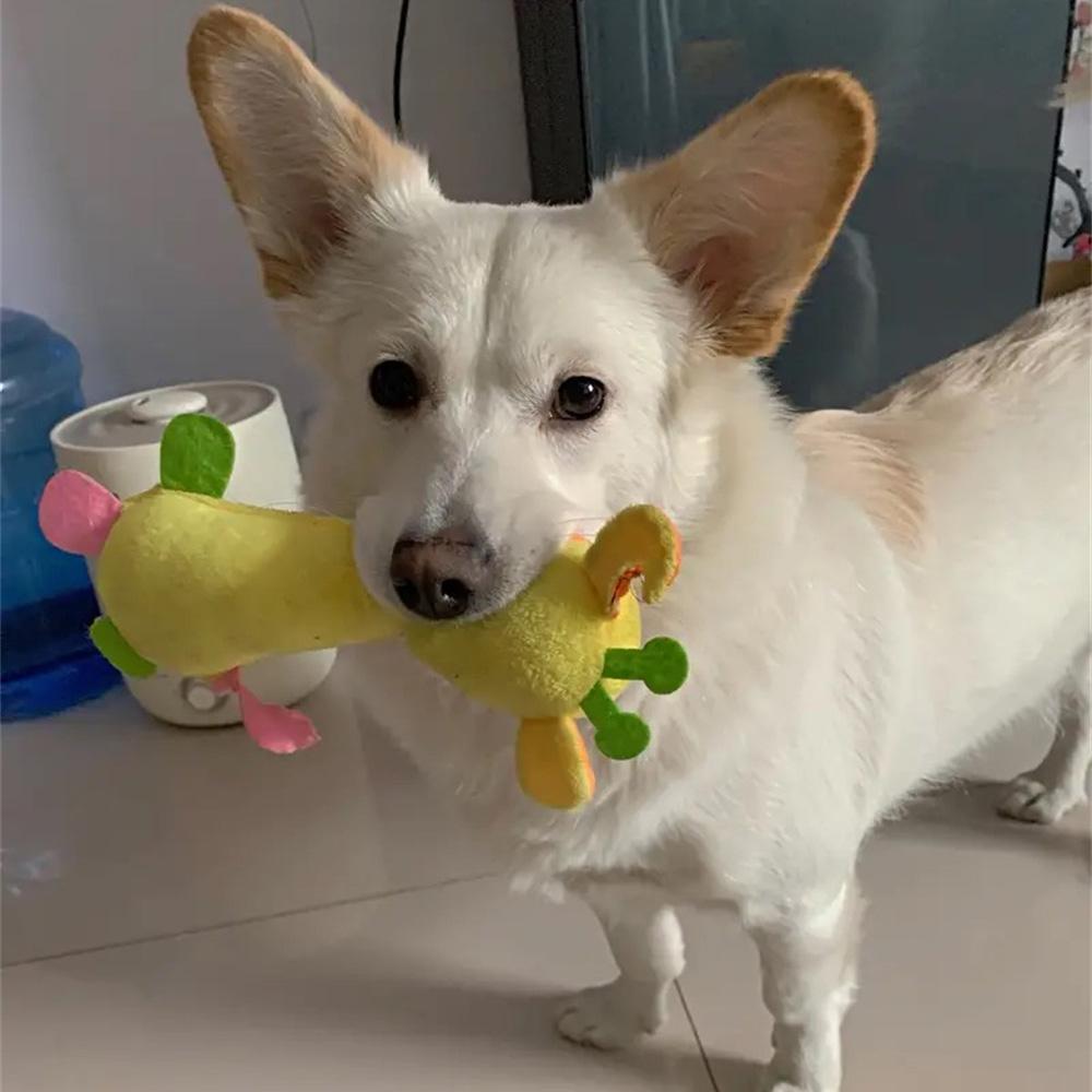 Plush Stuff Squeaky Puppy Dog Toy Teeth Cleaning Pet Chew Toys for Small Dogs Pomeranian Pinscher Chihuahua mascotas Accessories