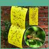 Premium 5pcs Outdoor Yellow Sticky Glue Flying Pest Insect Papers Traps For Bugs