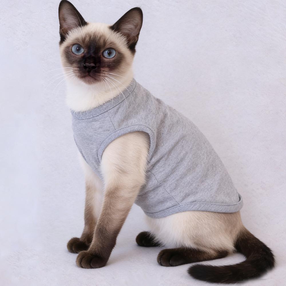 Pet Summer Vest Dog & Cat Fashion Role-playing Breathable Clothes Bichon Pomeranian Funny Internet Celebrity Slogan Printed
