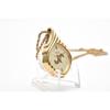 Used SEIKO Seiko 2320-5940 Quartz Pendant Watch Gold Color Gold Dial With Chain Vintage Locket Watch Working Condition