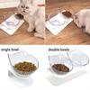 Одинарная двойная миска, наклонный милый дизайн, кошачьи уши, миска в форме кошки, горшок для еды домашних животных, контейнер для питьевой воды