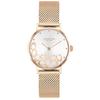 Coach Perry Watch 14503857 Women's Rose Gold