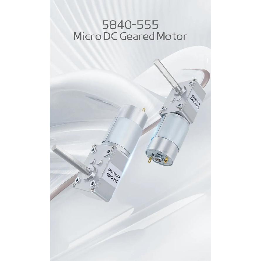 Micro Worm Gear Brushed Motor 5840-555 12v~24v Unidirectional Long D-type Shaft Forward And Reverse Gear Reduction Motor