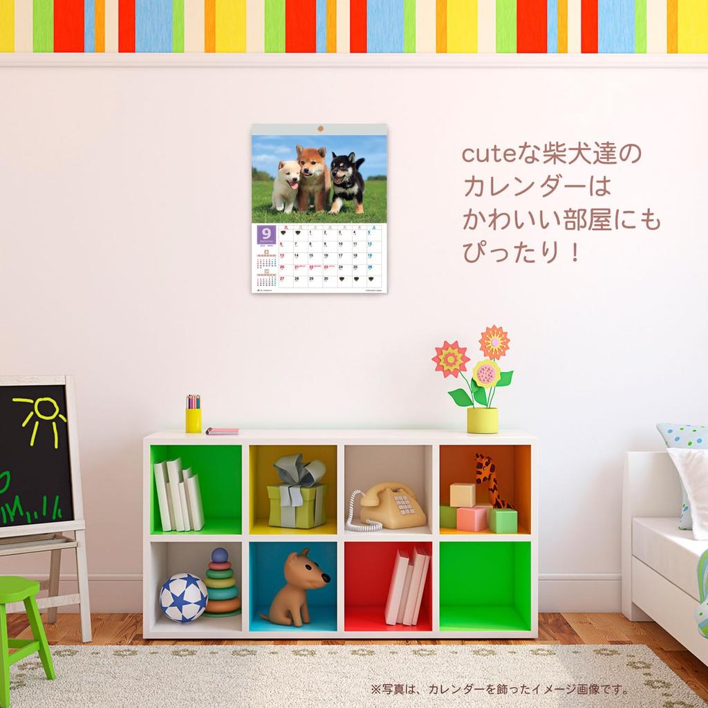 Активная Корпорация 2026 Настенный Морита Целый Шиба Начинается Январь 2026 Календарь, Йонео, Ину, 26ACL-11,